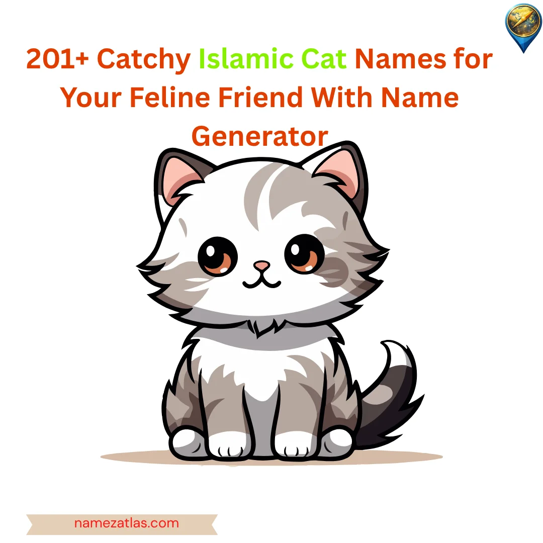 Catchy Islamic Cat Names for Your Feline Friend With Name Generator