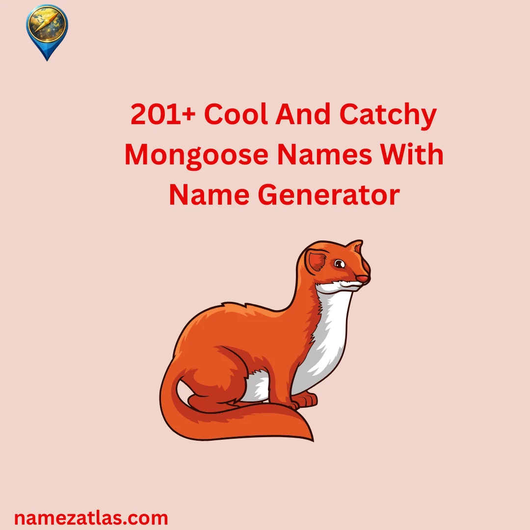 Cool And Catchy Mongoose Names With Name Generator