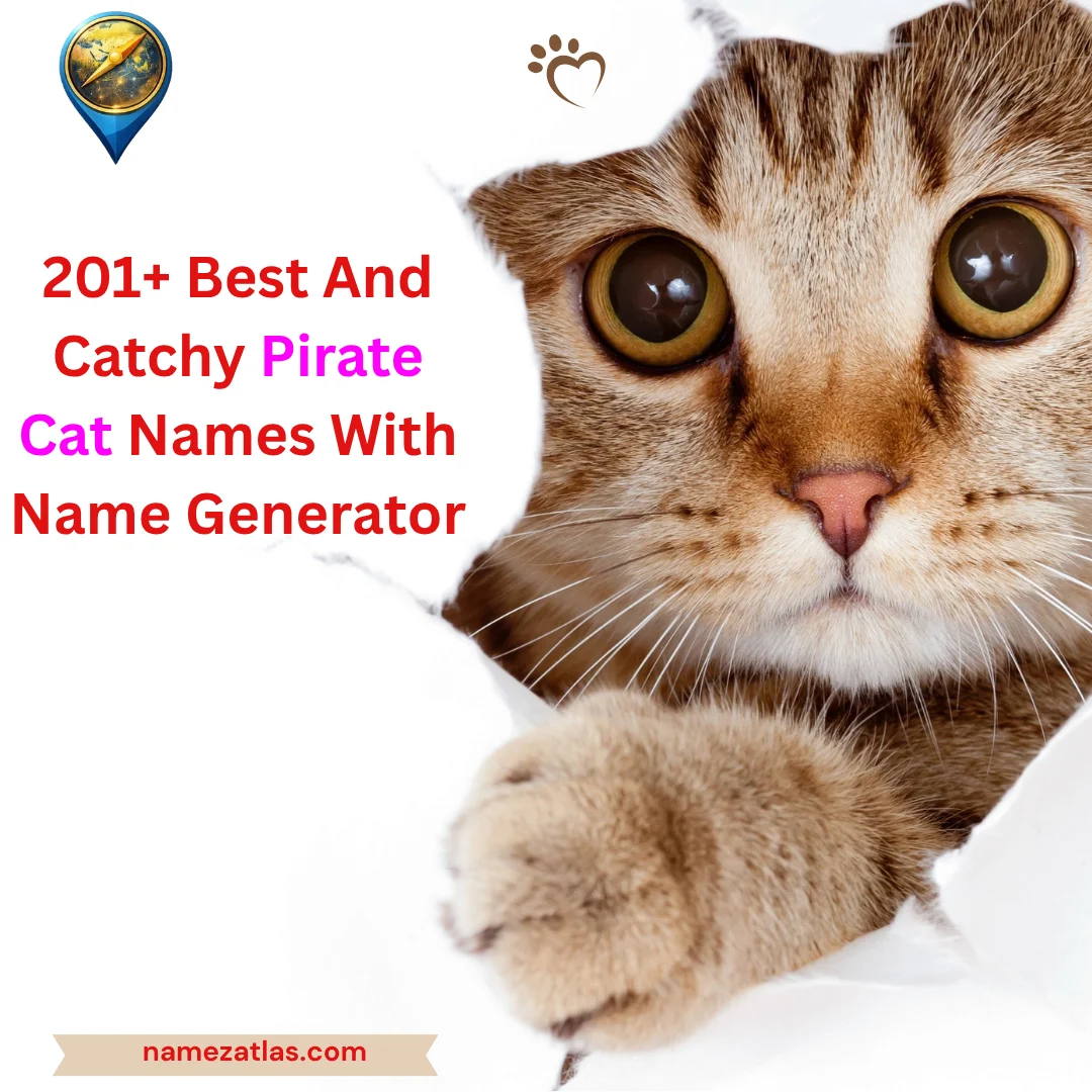 Best And Catchy Pirate Cat Names With Name Generator