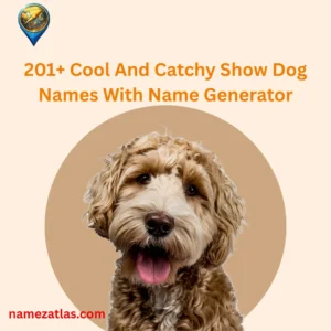 Cool And Catchy Show Dog Names With Name Generator