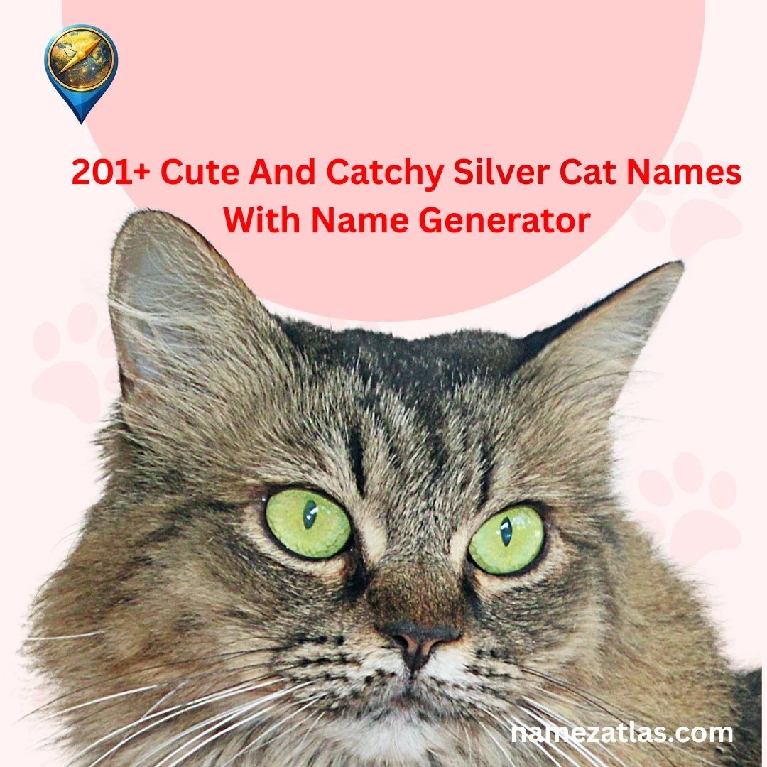 Cute And Catchy Silver Cat Names With Name Generator