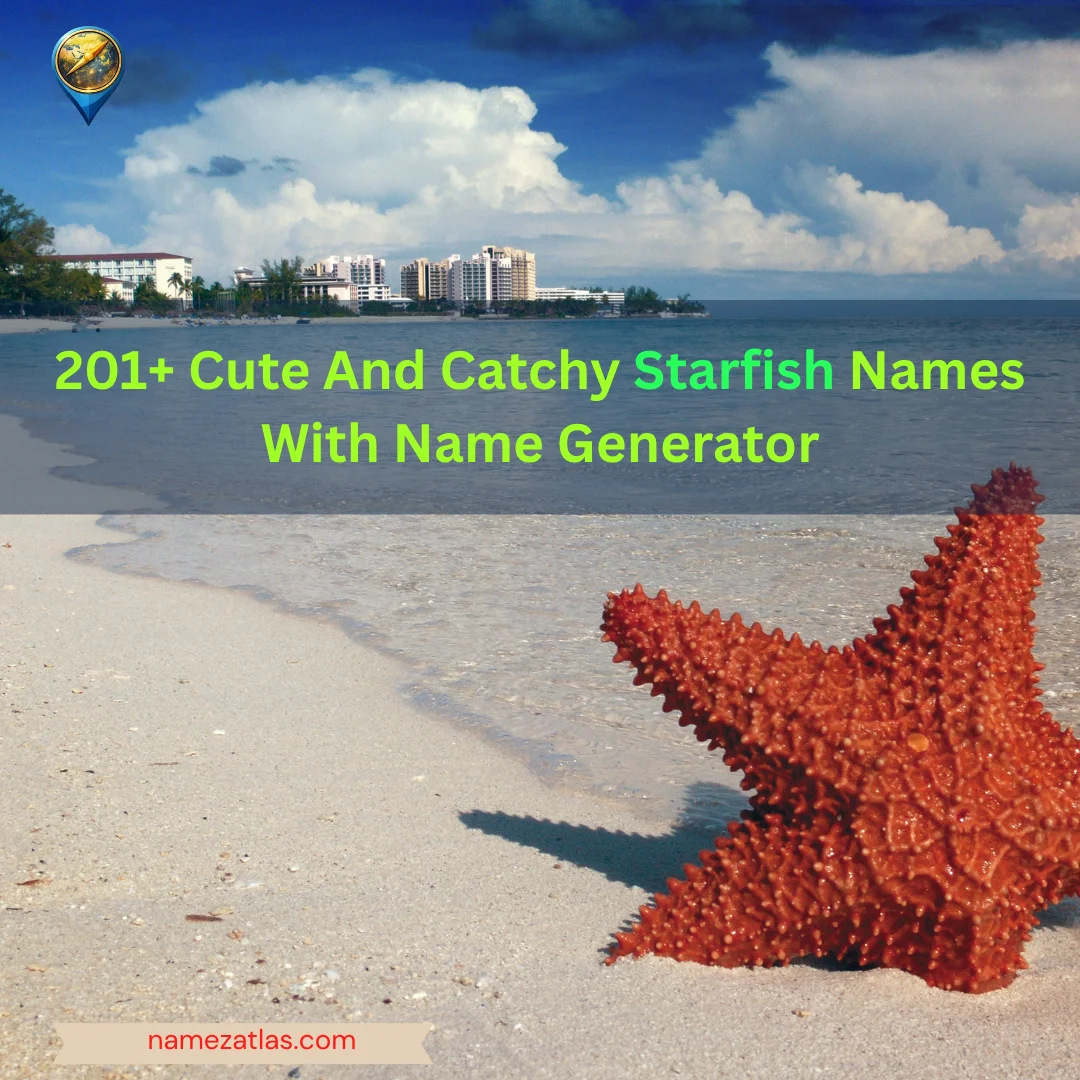 Cute And Catchy Starfish Names With Name Generator