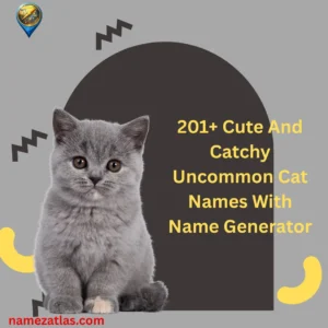 Cute And Catchy Uncommon Cat Names With Name Generator