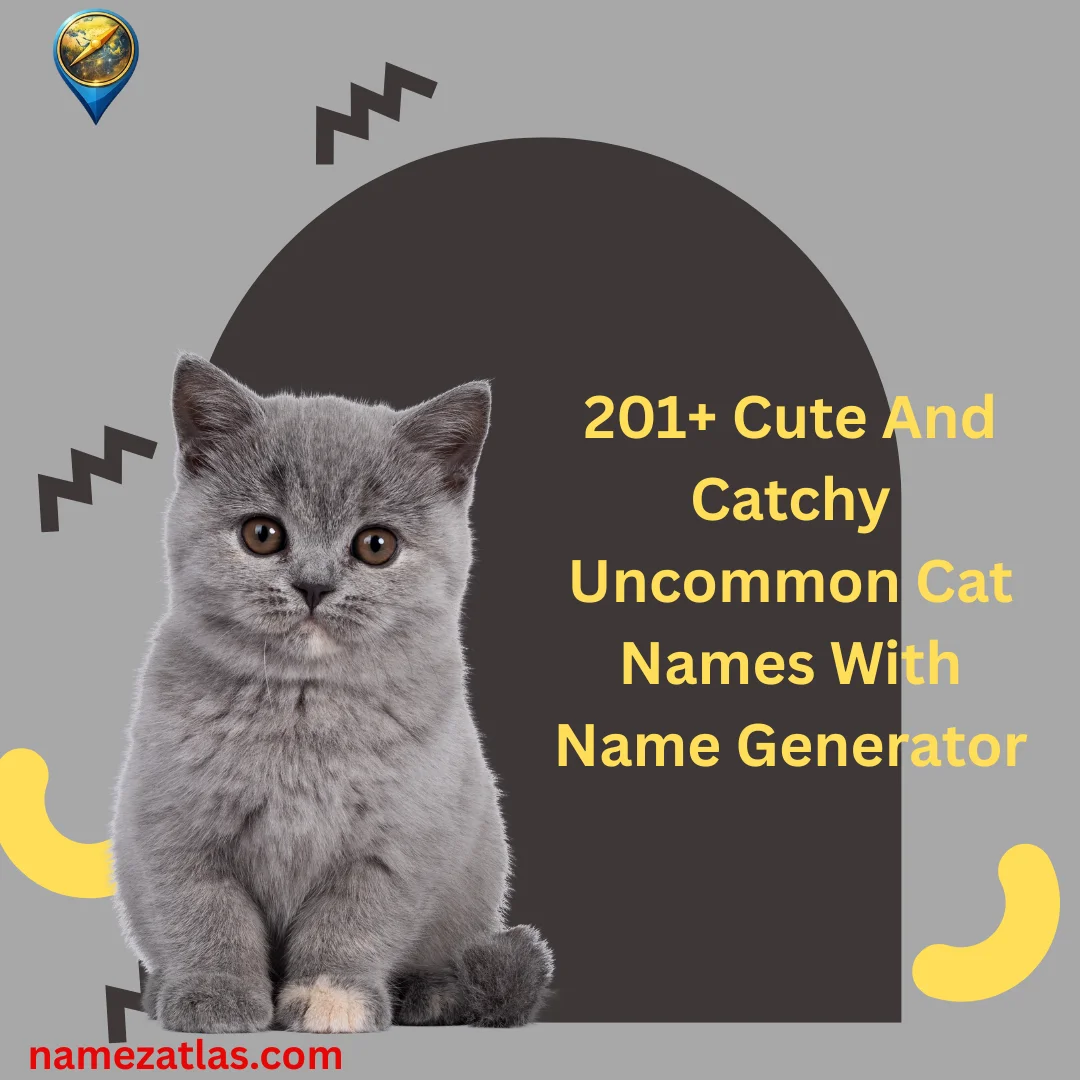 Cute And Catchy Uncommon Cat Names With Name Generator