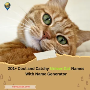 Cool and Catchy Unisex Cat Names With Name Generator