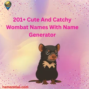 Cute And Catchy Wombat Names With Name Generator