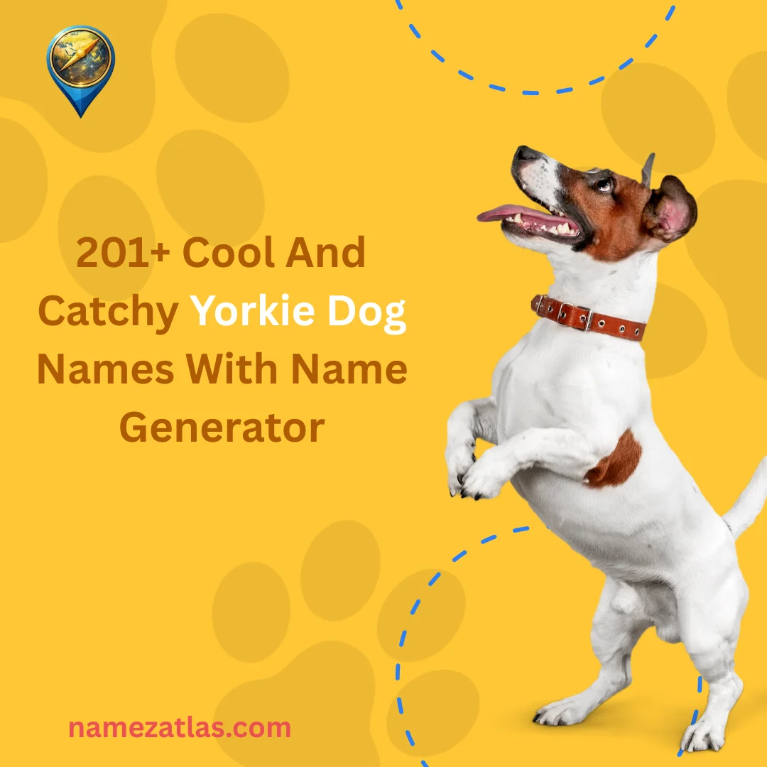 Cool And Catchy Yorkie Dog Names With Name Generator