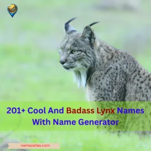 Cool And Badass Lynx Names With Name Generator