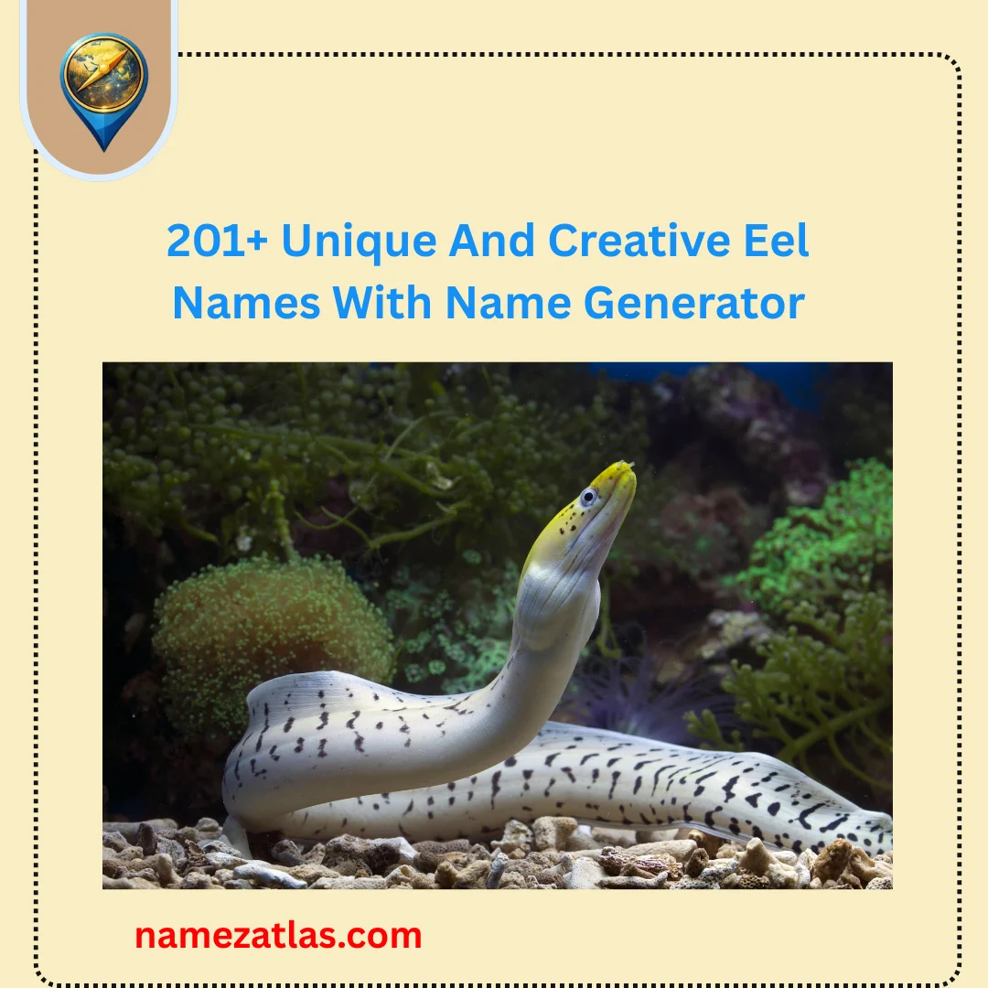 Unique And Creative Eel Names With Name Generator
