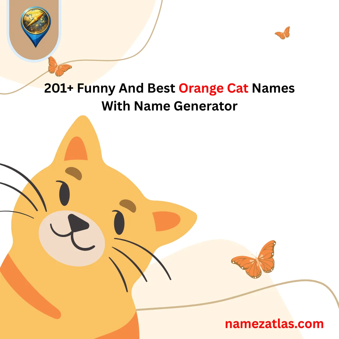 Funny And Best Orange Cat Names With Name Generator