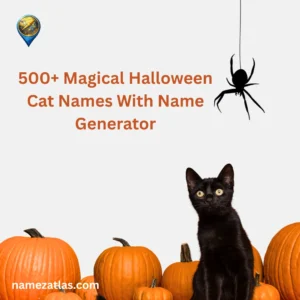 Magical Halloween Cat Names With Name Generator